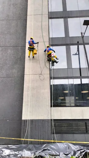 Lavado y mantenimiento - miniatura 10