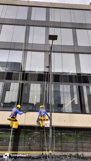 Lavado y mantenimiento - miniatura 12